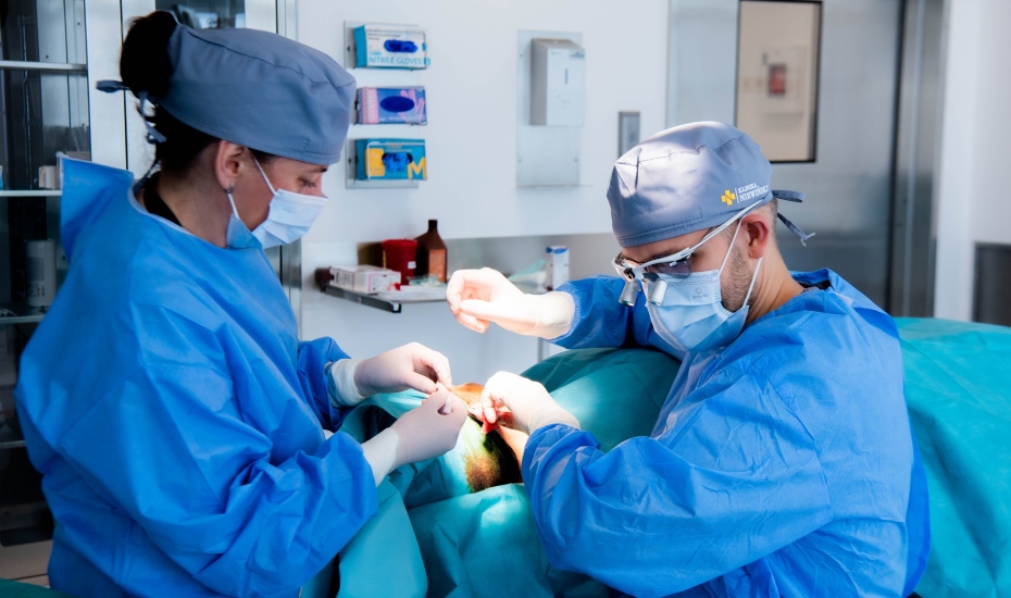 Otoplastyka - korekcja odstających uszu, plastyka płatków uszu
